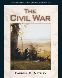 Book cover for The Civil War by Patricia D. Netzley