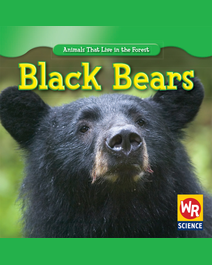 Book cover for Black Bears by Joann Early Macken