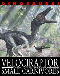 Book cover for Velociraptor and Other Raptors and Small Carnivores by David West