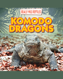 Book cover for Komodo Dragons by Kathleen Connors