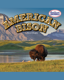 Book cover for American Bison by Meryl Magby