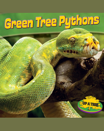 Book cover for Green Tree Pythons by Willow Clark