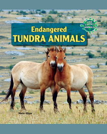 Book cover for Endangered Tundra Animals by Marie Allgor
