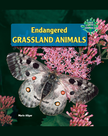 Book cover for Endangered Grassland Animals by Marie Allgor