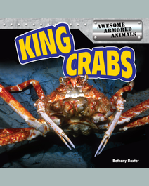 Book cover for King Crabs by Bethany Baxter