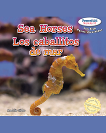 Book cover for Sea Horses by Maddie Gibbs