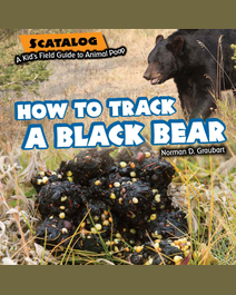 Book cover for How to Track a Black Bear by Norman D. Graubart