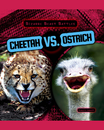Book cover for Cheetah vs. Ostrich by Charlotte Herriott
