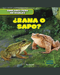 Book cover for ¿Rana o sapo? by Rob Ryndak