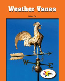 Book cover for Weather Vanes by Richard Tan