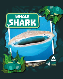 Book cover for Whale Shark by Robin Twiddy