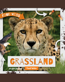 Book cover for Grassland Food Webs by William Anthony