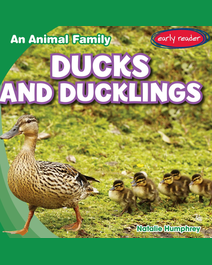 Book cover for Ducks and Ducklings by Natalie K. Humphrey