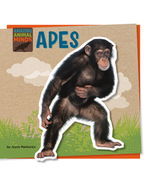 Book cover for Apes by Joyce Markovics