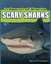 Book cover for Scary Sharks by David Thompson