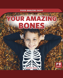 Book cover for Your Amazing Bones by Dwayne Hicks