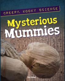 Book cover for Mysterious Mummies by Ron Knapp